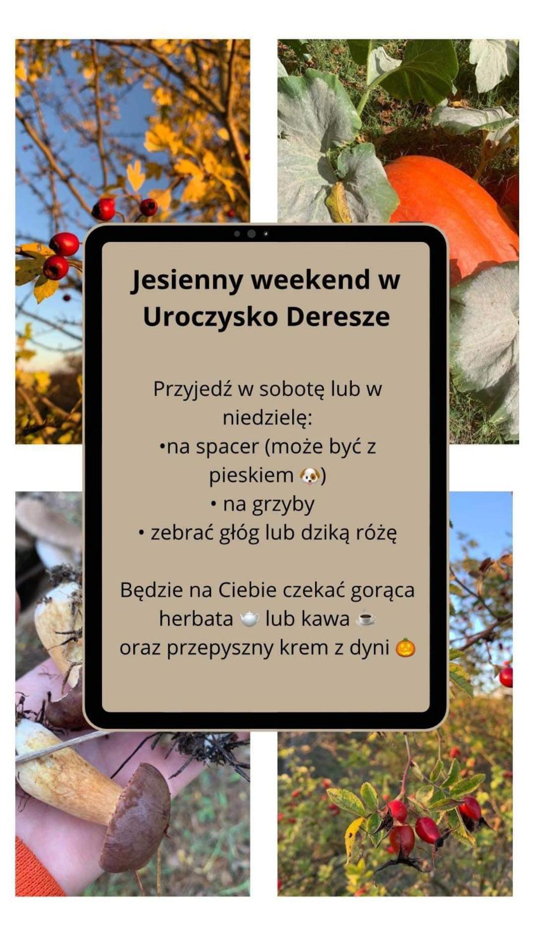 Вилла Uroczysko Deresze Gilawy Экстерьер фото